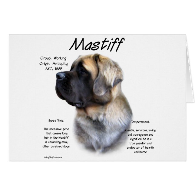 Histoire de Fluffy Mastiff (Devant horizontal)