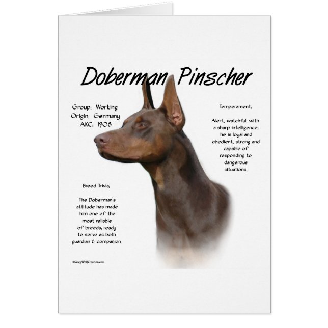 Histoire de Red Doberman (Devant)
