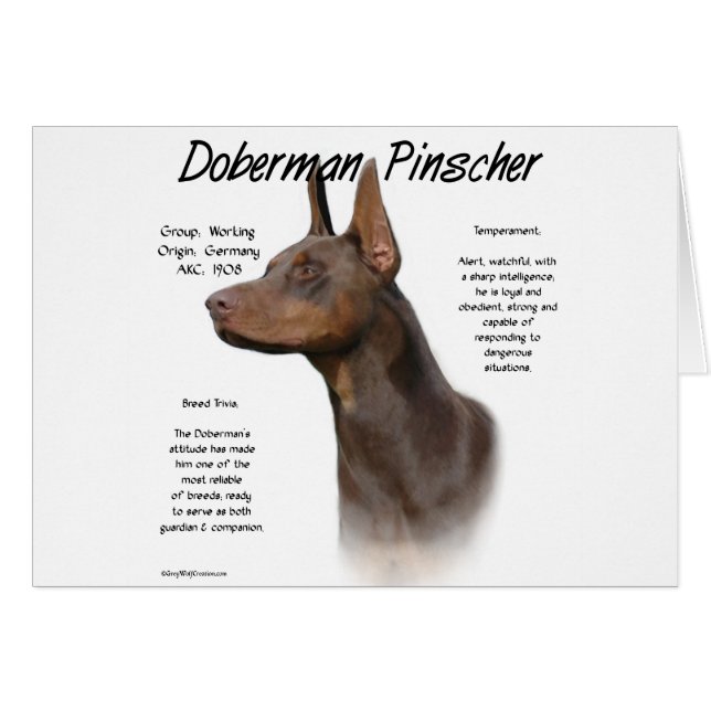 Histoire de Red Doberman (Devant horizontal)