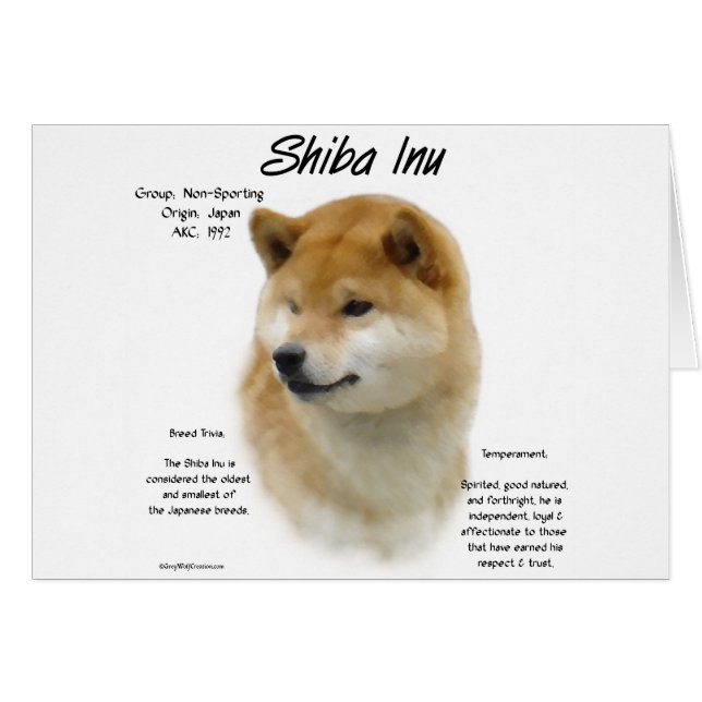 Histoire de Shiba Inu (Devant horizontal)