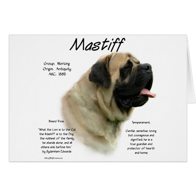 Histoire des mastiff (Devant horizontal)