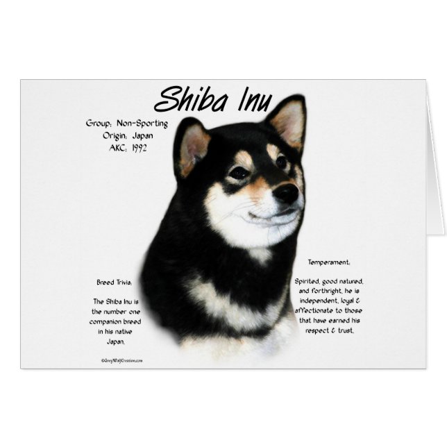 Histoire du Shiba Inu noir (Devant horizontal)