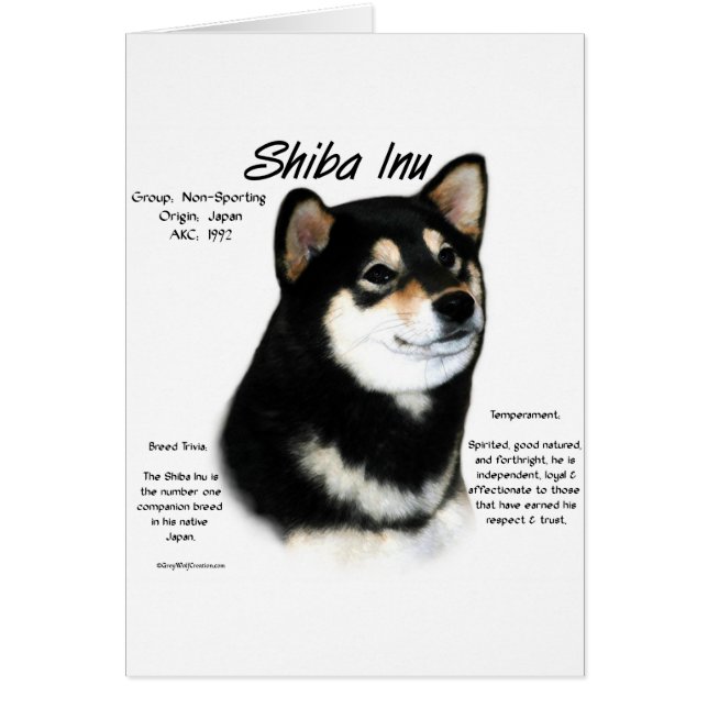 Histoire du Shiba Inu noir (Devant)