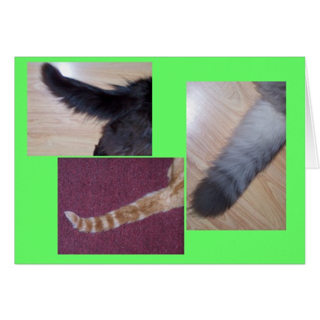 Histoires (Devant horizontal)