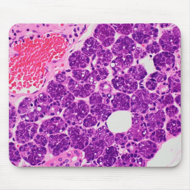 Histology art - Mousepad (Front)