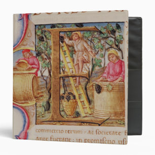 Historiated initial 'E' depicting grape picking Binder