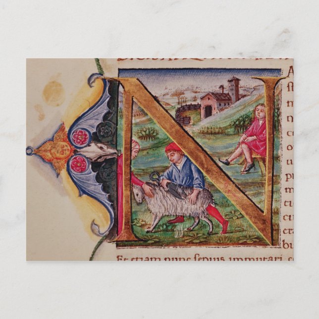 Historiated initial 'N' depicting sheep Postcard (Front)