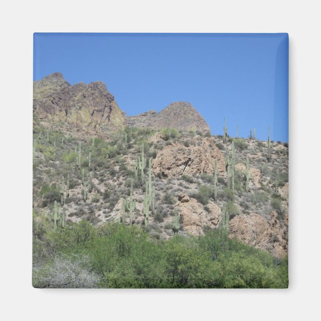 Historic Apache Trail Magnet (Front)