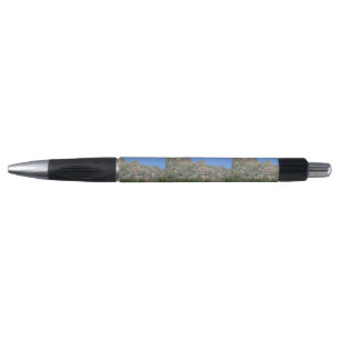 Historic Apache Trail Pen