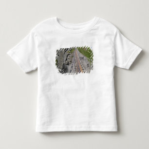 Historic Carrick-a-rede rope bridge, Northern Toddler T-shirt