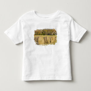 Historic farm in the Buffalo National River, Toddler T-shirt