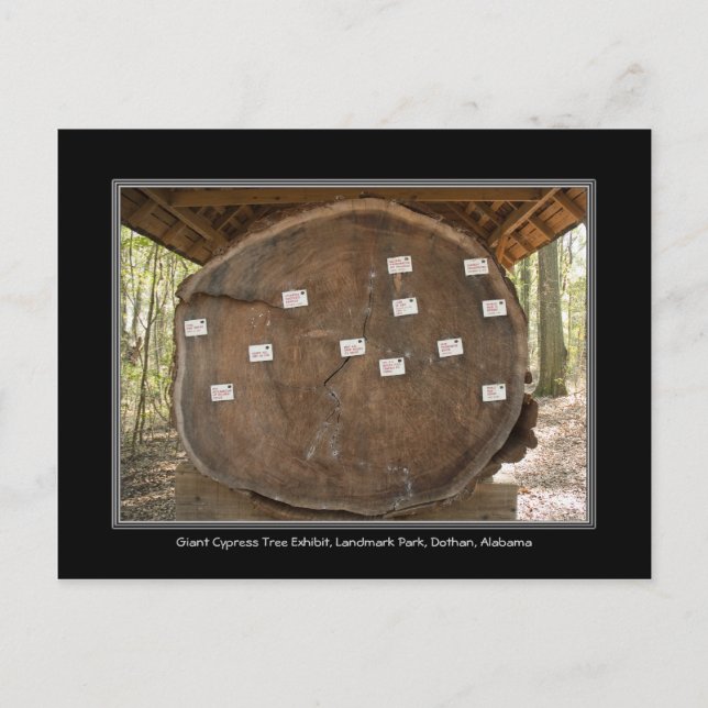 Historic Landmark Park, Dothan Alabama Post Card (Front)