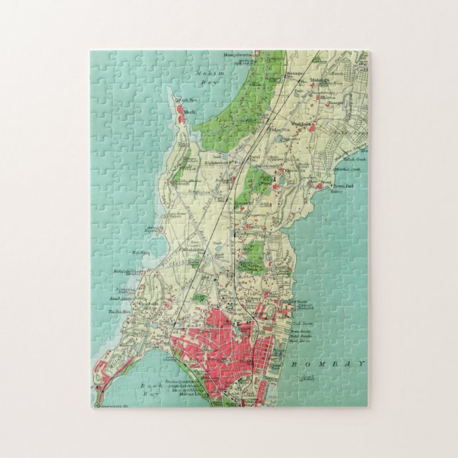 Historic Map of India Jigsaw Puzzle (Vertical)