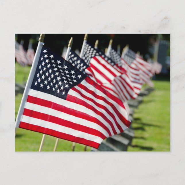 Historic military cemetery with US flags Postcard (Front)