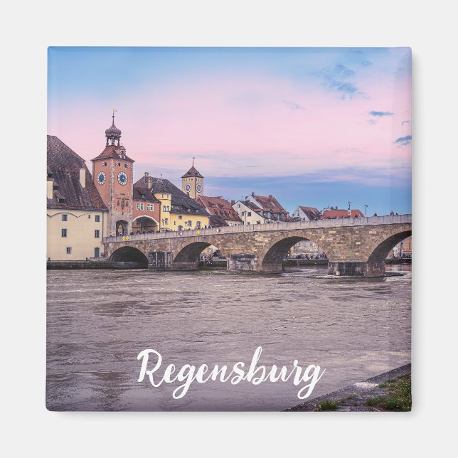 Historic old town in Regensburg, Germany Magnet (Front)