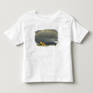 Historic St Ignatius Mission in St Ignatius, 2 Toddler T-shirt