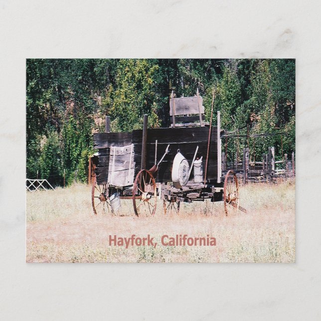 Historical Gold Rush wagon...... Postcard (Front)