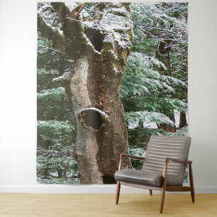 Historical Oak tree Owl home.... Tapestry