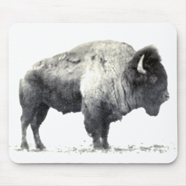 Historical Photograph of American Bison Mouse Pad (Front)