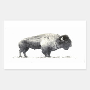 Historical Photograph of American Bison Sticker
