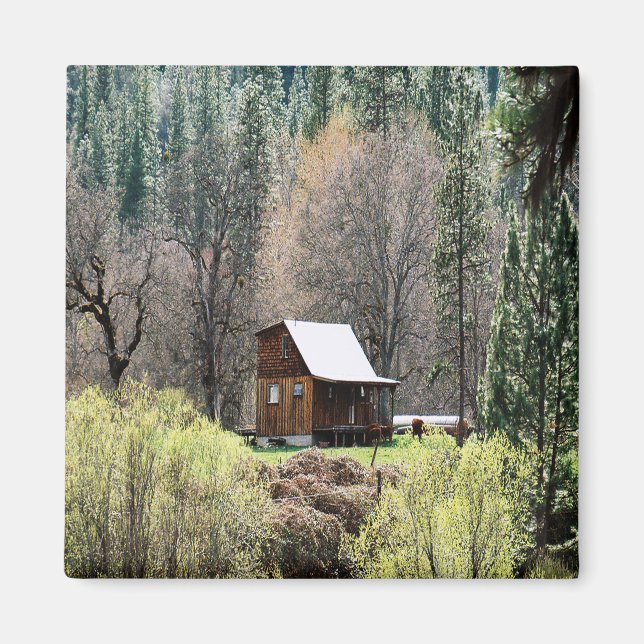 Historical Potato Creek Log Cabin..... Magnet (Front)