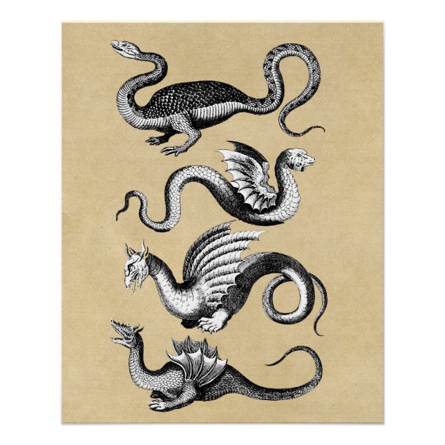 History of Dragons Rustic Poster (Front)