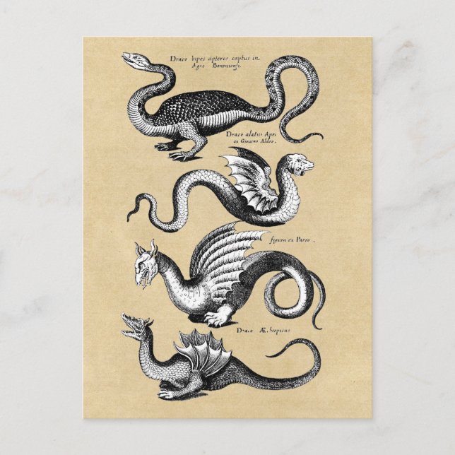 History of Dragons Sepia Postcard (Front)