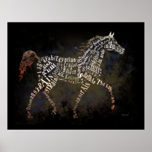 History of the Arabian Horse Poster
