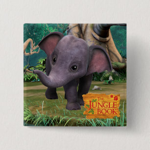 Hita 2 Inch Square Button