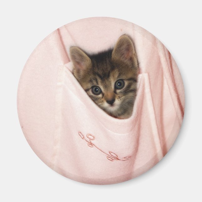 Hitchhiking Magnet (Front)