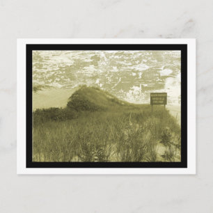 Hither Hills, Montauk Postcard