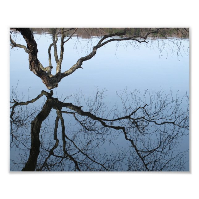 Hiver à Jamaica Pond, 8x10 photo (Devant)