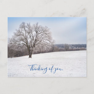 Hiver Arbre Penser De Vous Carte Postale