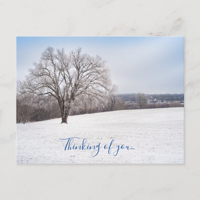 Hiver Arbre Penser De Vous Carte Postale (Devant)