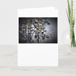Hiver, carte
