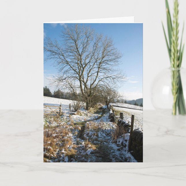 Hiver Carte Forêt Macclesfield (Devant)