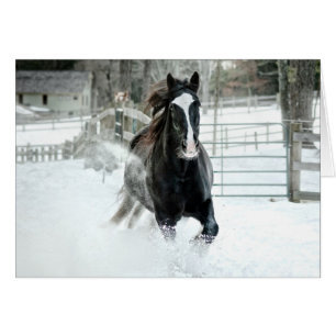 Hiver courant de Brenda Lee