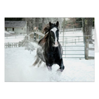 Hiver courant de Brenda Lee