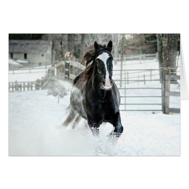 Hiver courant de Brenda Lee (Devant horizontal)