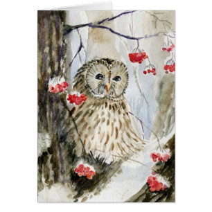 Hiver de neige de hibou barré