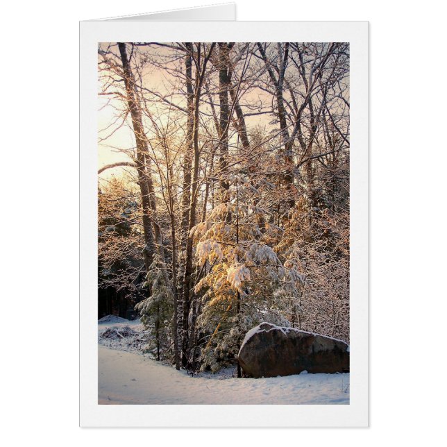 Hiver éclairé (Devant)
