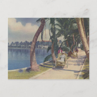 Hiver en Floride, 1908 Carte postale
