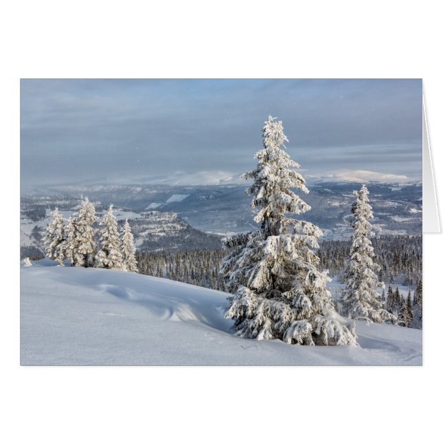Hiver en Norvège (Devant horizontal)