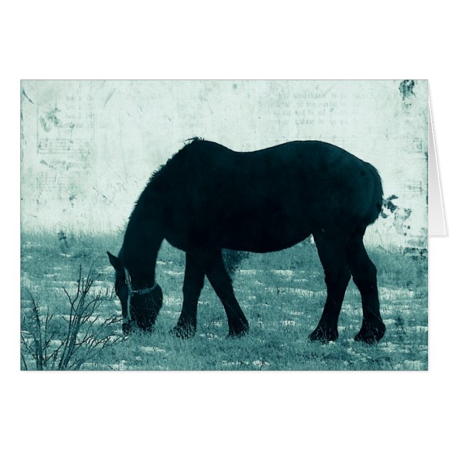 Hiver Percheron (Devant horizontal)