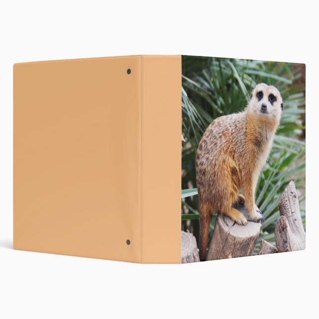 Hiya Meerkat  Binder (Background)
