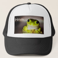 Hmm Frog
