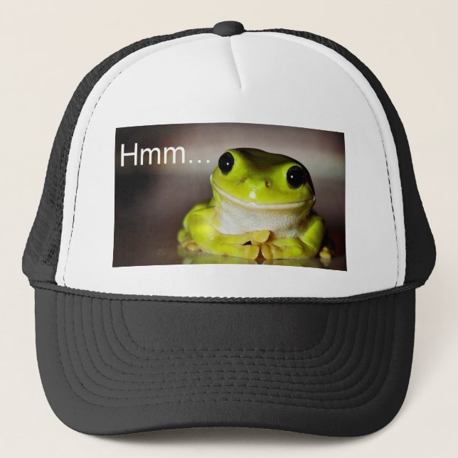 Hmm Frog Trucker Hat (Front)