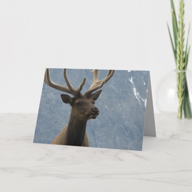 Hmmm, it seems you have a birthday coming up. card (Front)