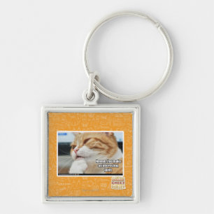 Hmmm. Keychain