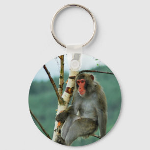 Hmmmm, I wonder Keychain